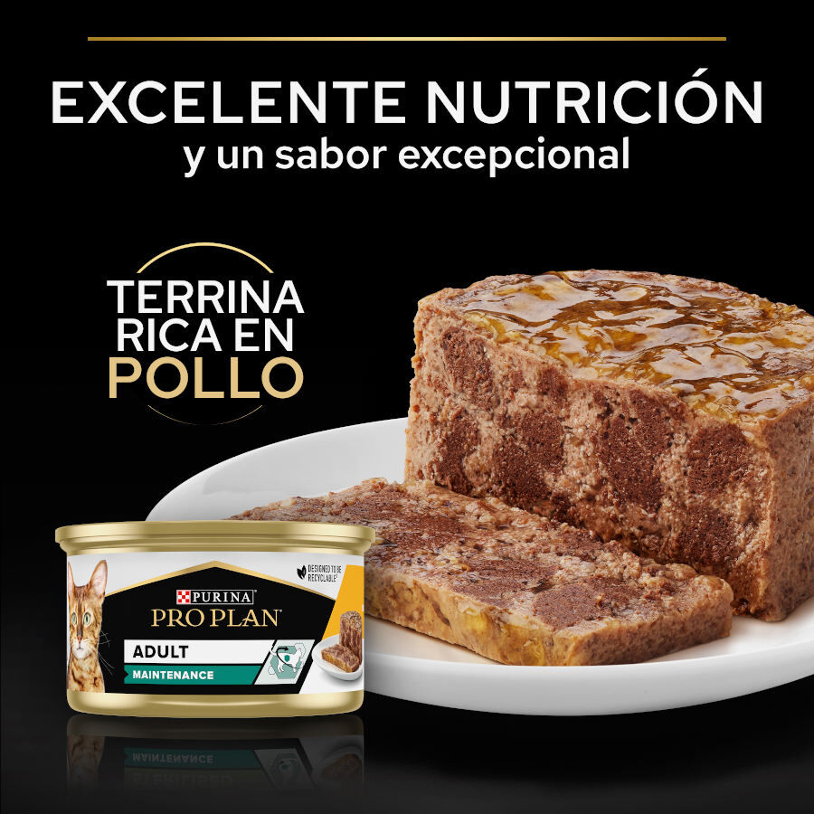 85 g Pro Plan Adult Maintenance Terrina rico en pollo para gatos, , large Imagen numero 4